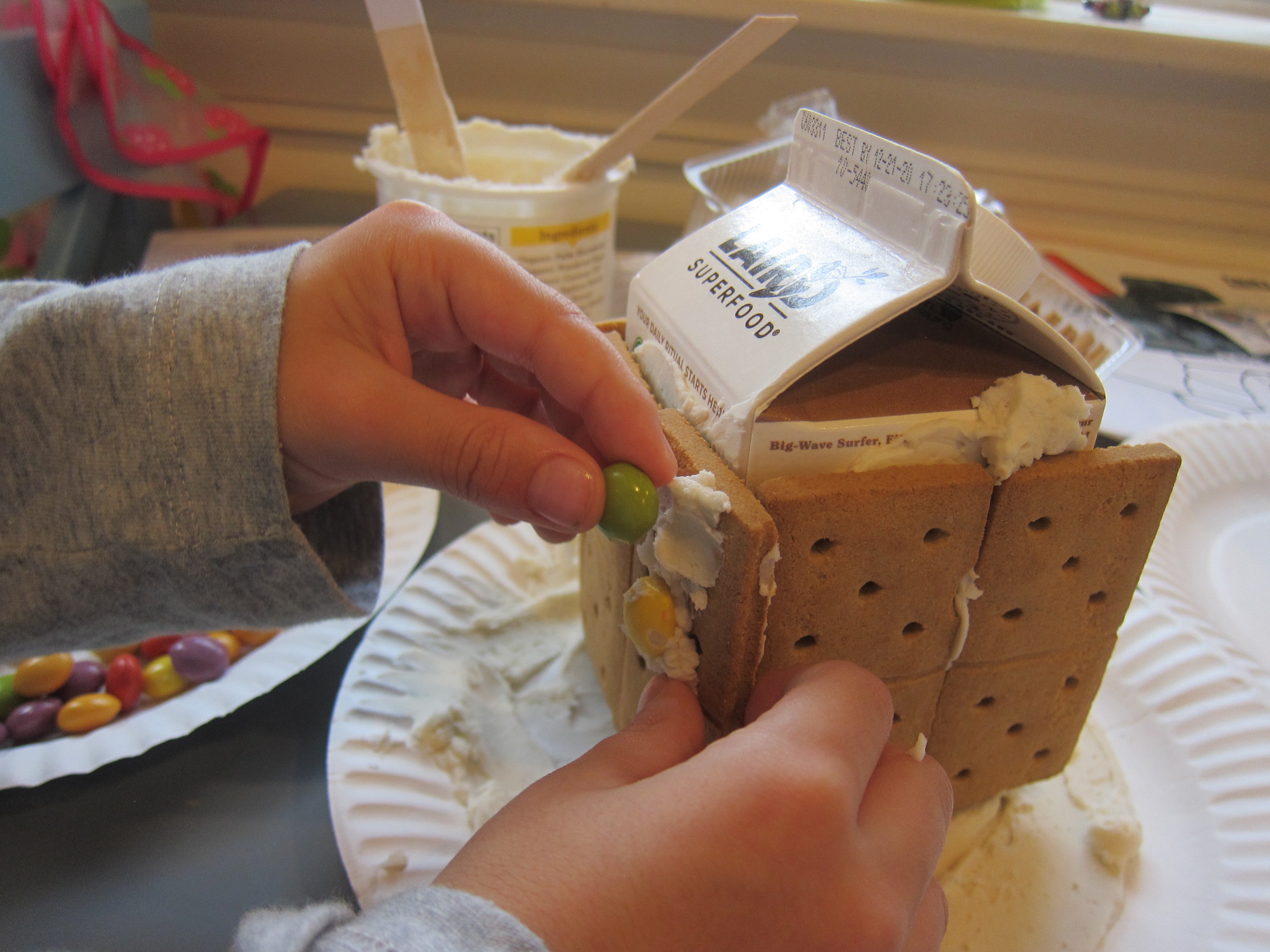 Insta-Graham Houses (4)