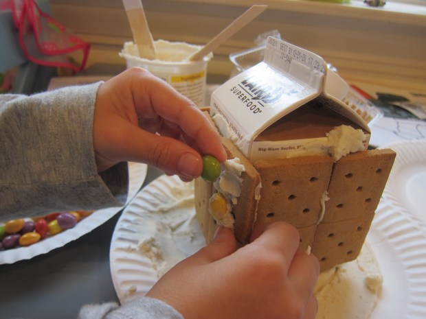 Insta-Graham Houses (4)