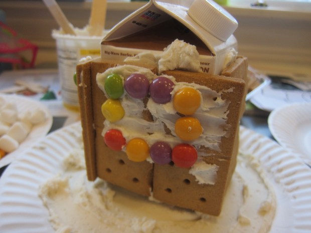 Insta-Graham Houses (5)