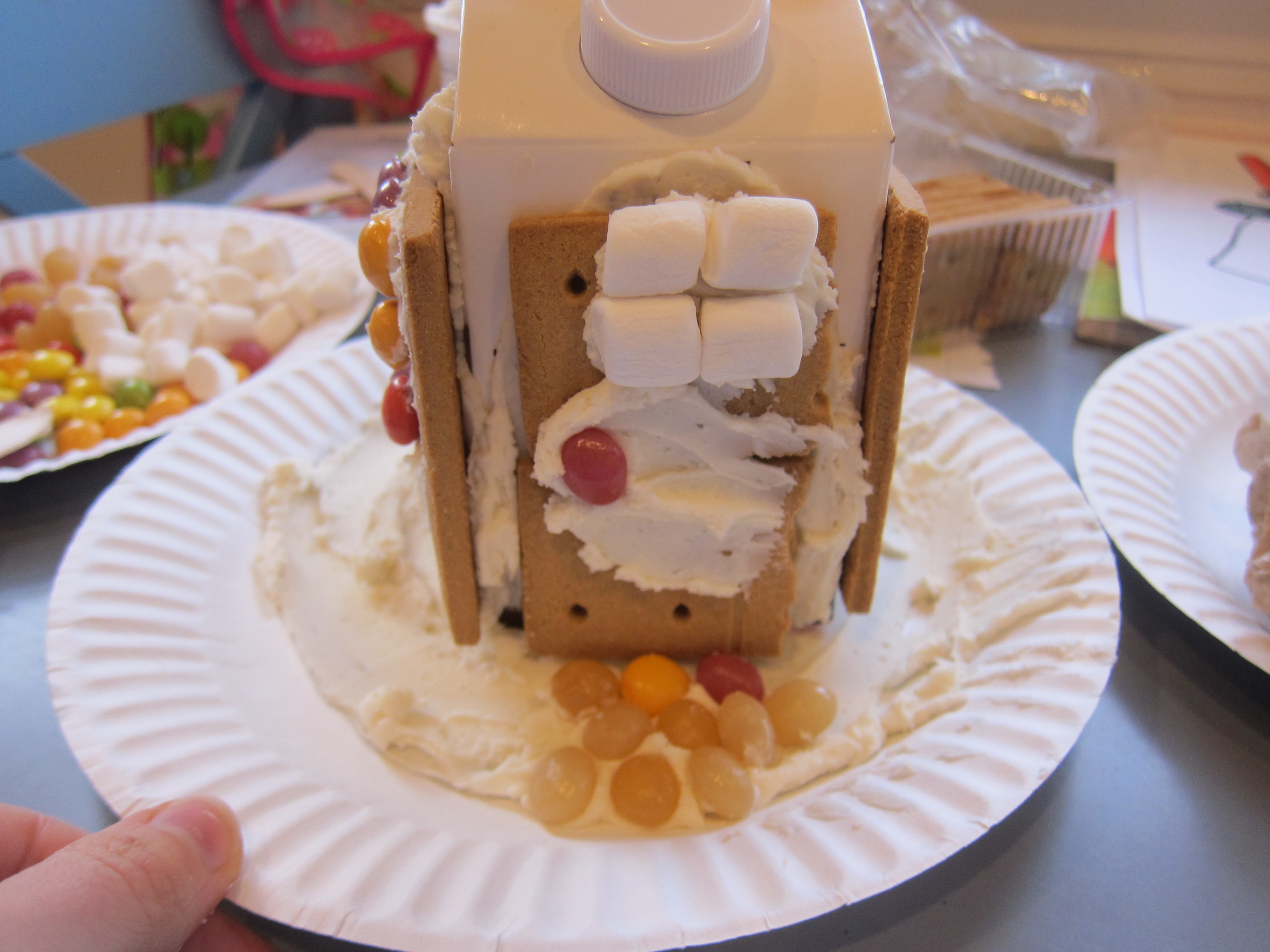 Insta-Graham Houses (6)