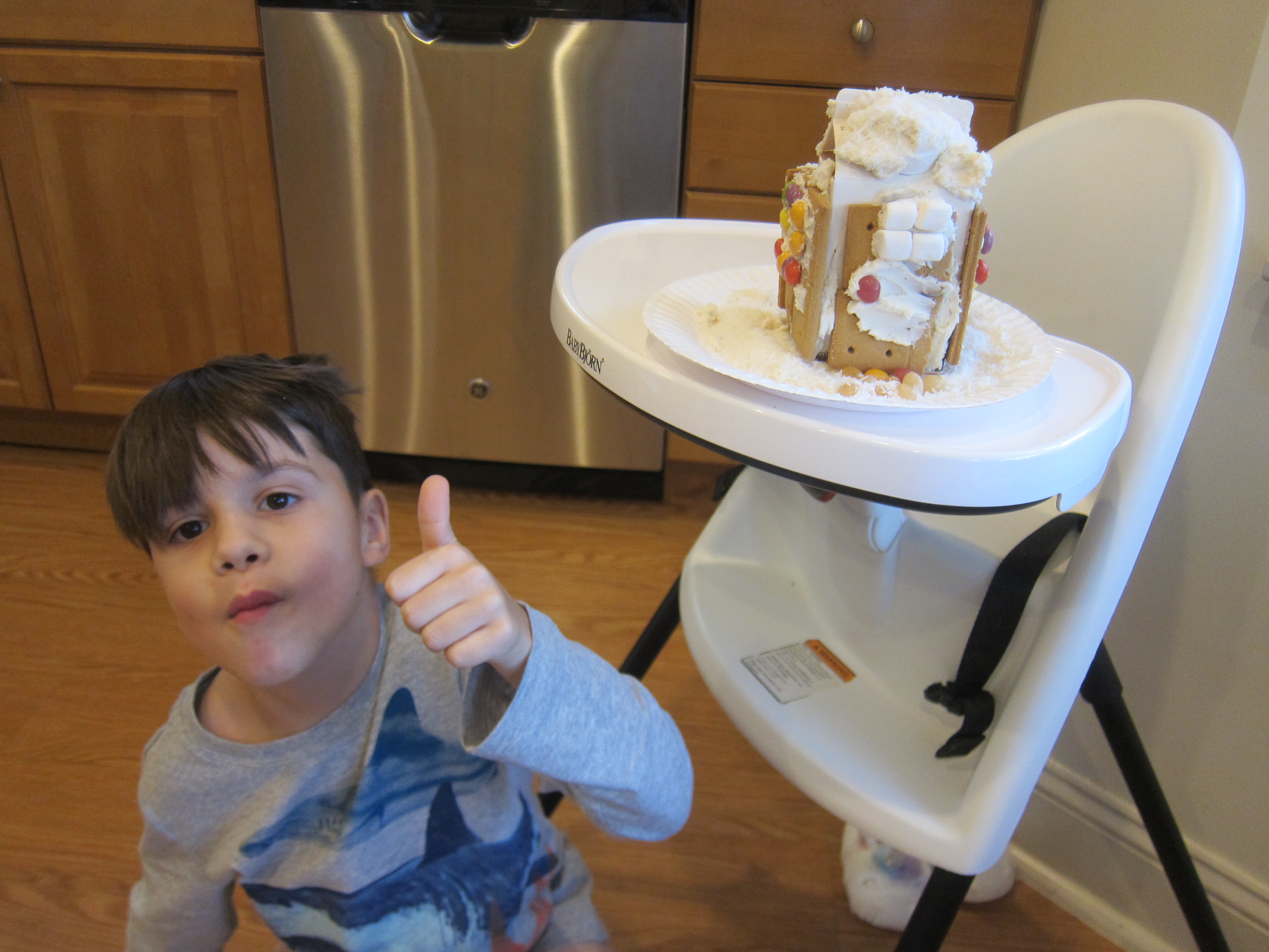 Insta-Graham Houses (8)