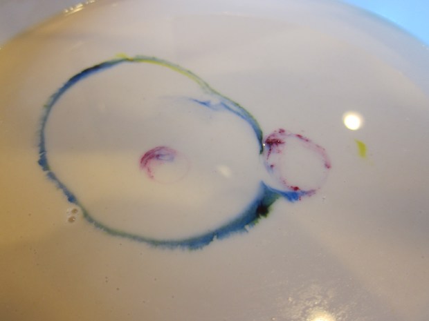 Milk Swirl Experiment (4)