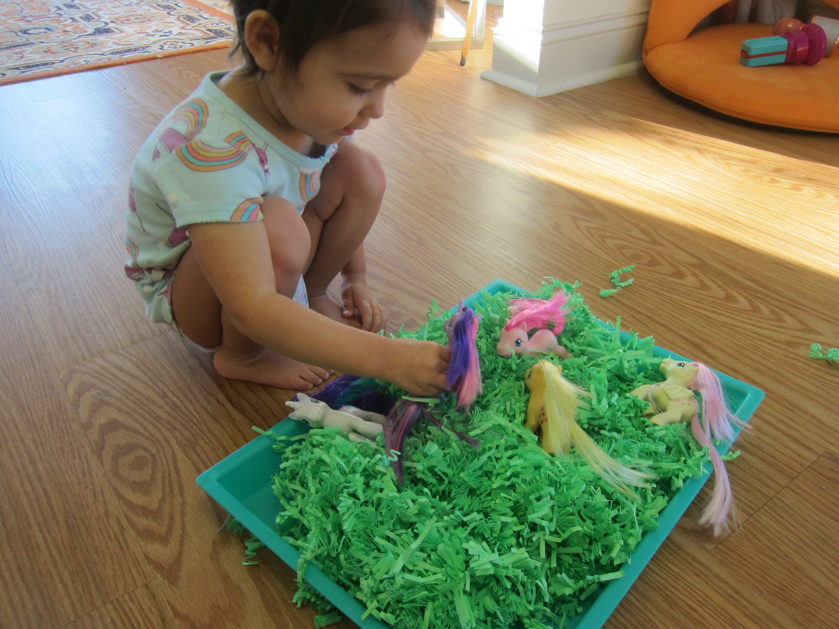 Shredded Paper Sandbox (2)