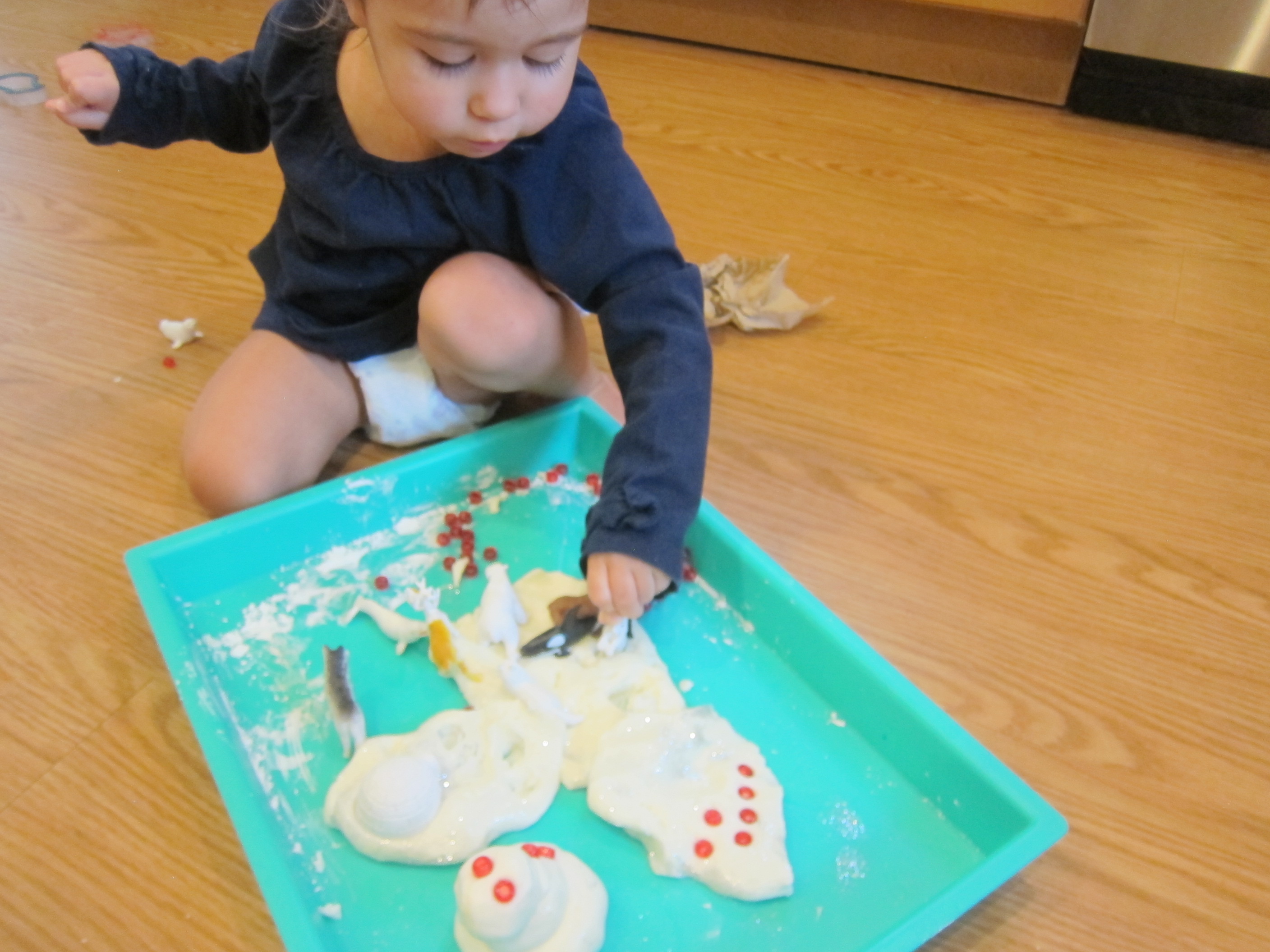 Snowy White Play Dough (12)