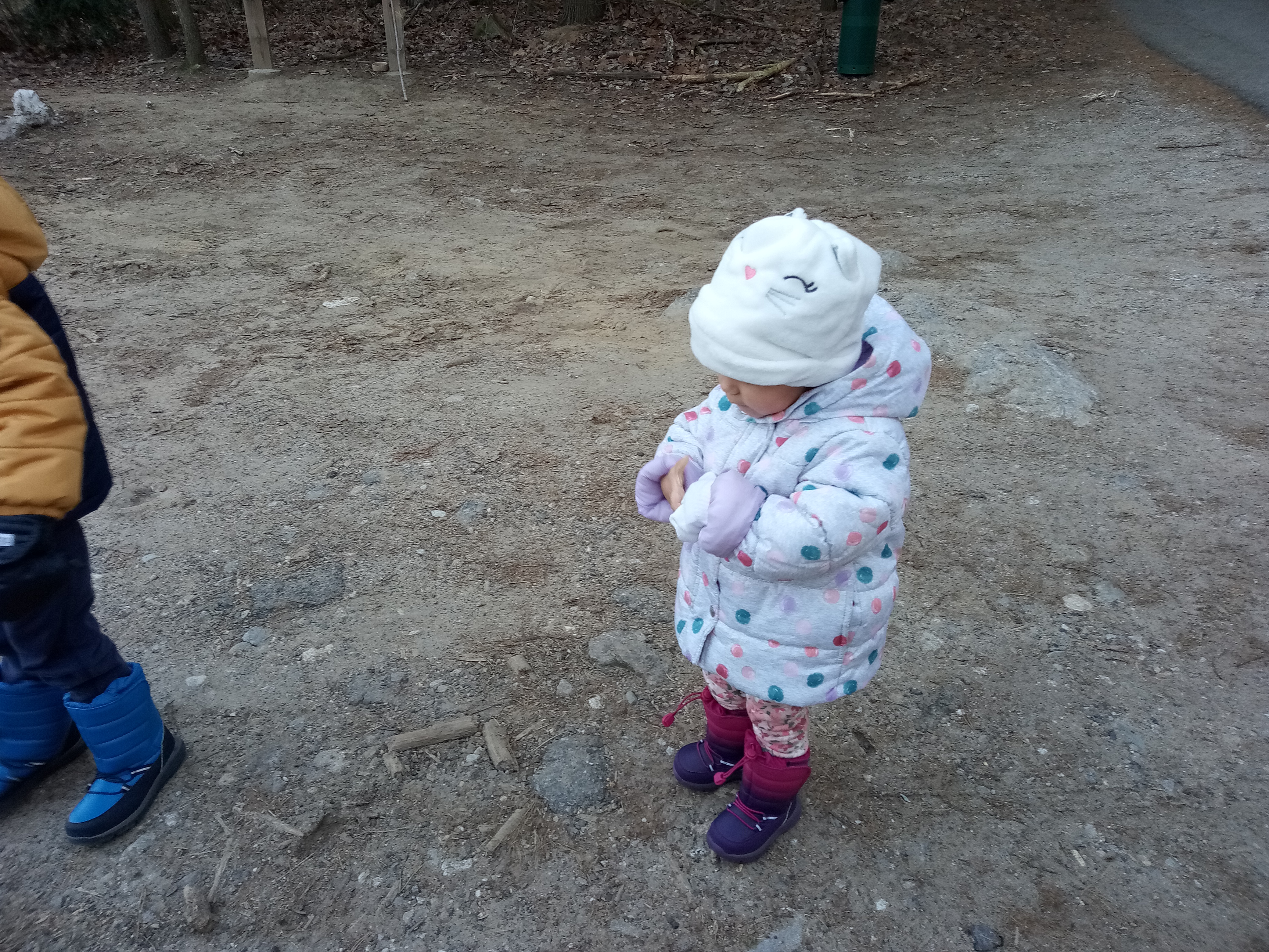 Stone Paperweight (7)