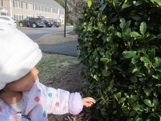 Bundt Pan Suncatcher (1)