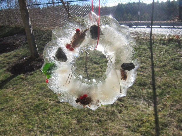Bundt Pan Suncatcher (9)