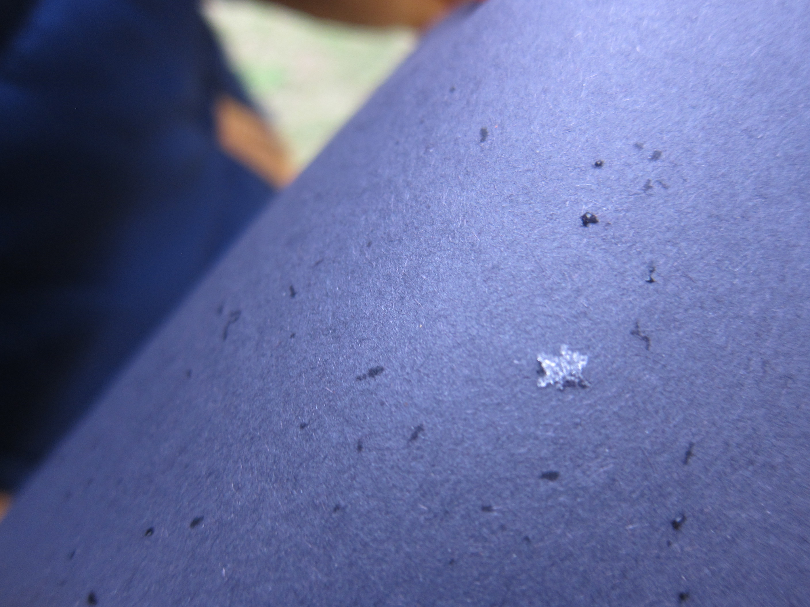 Catching Snowflakes (2)