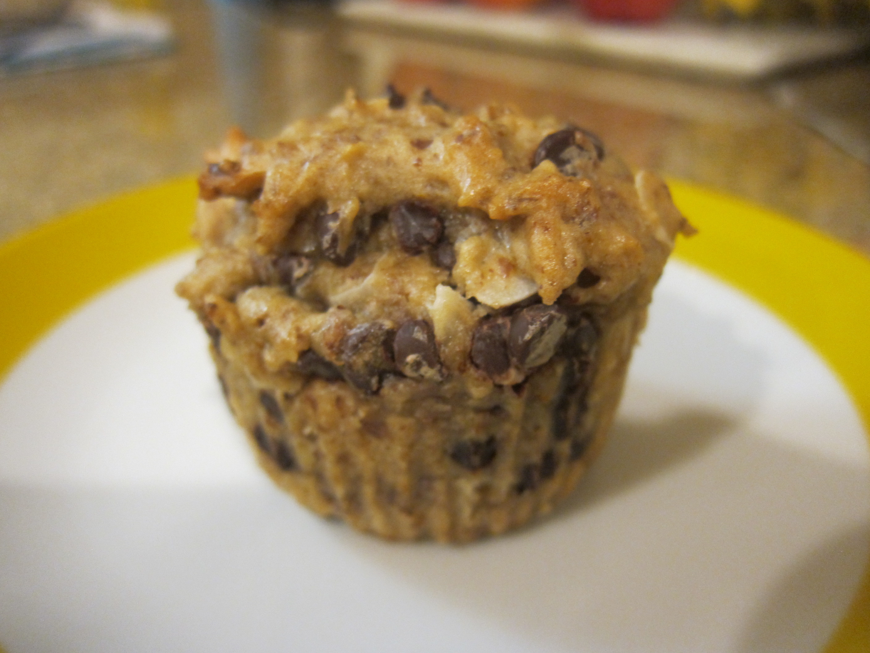 Coconut Chocolate Chip Muffins (2)