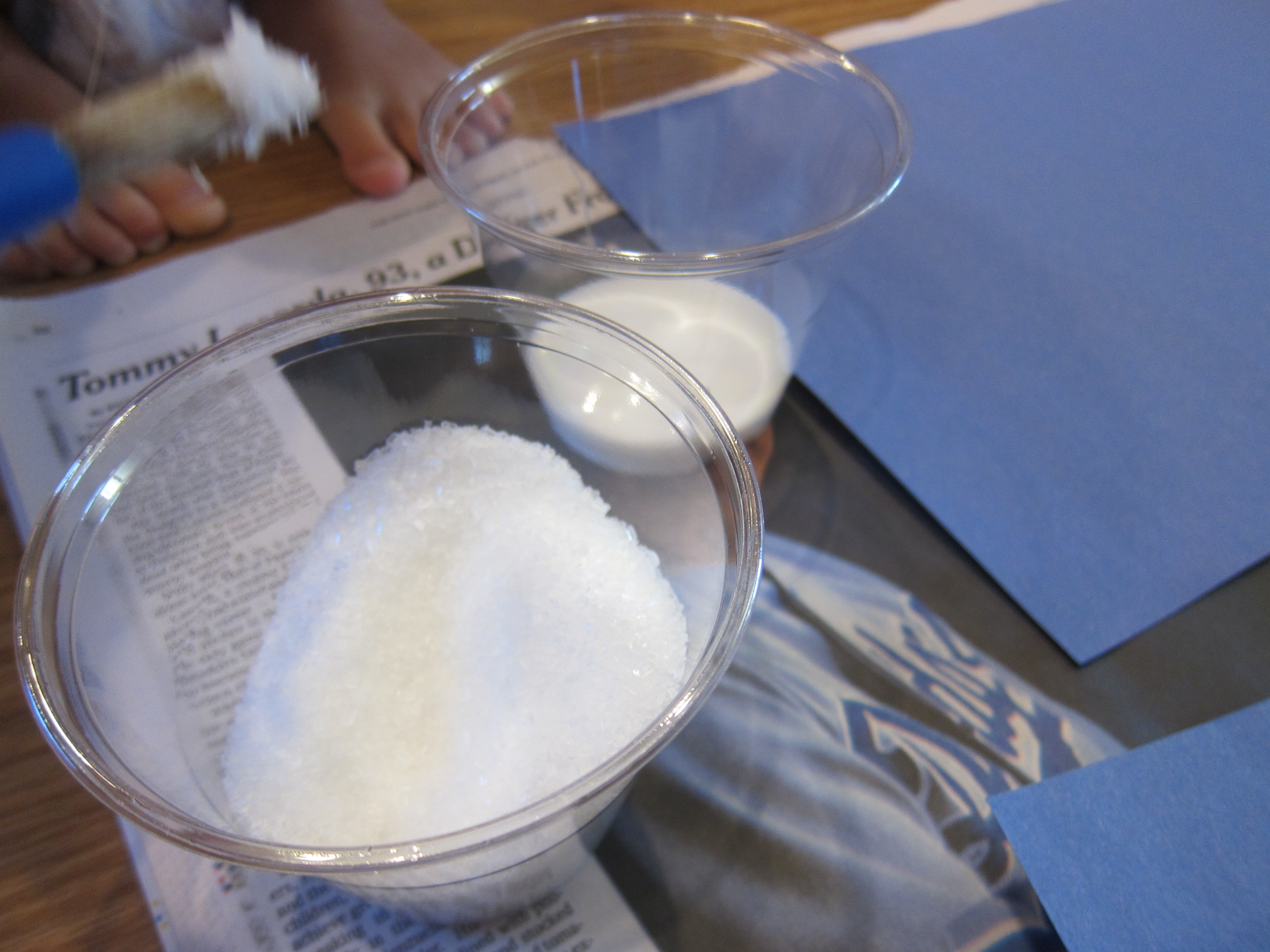 Icy Winter Scene Salt (1)