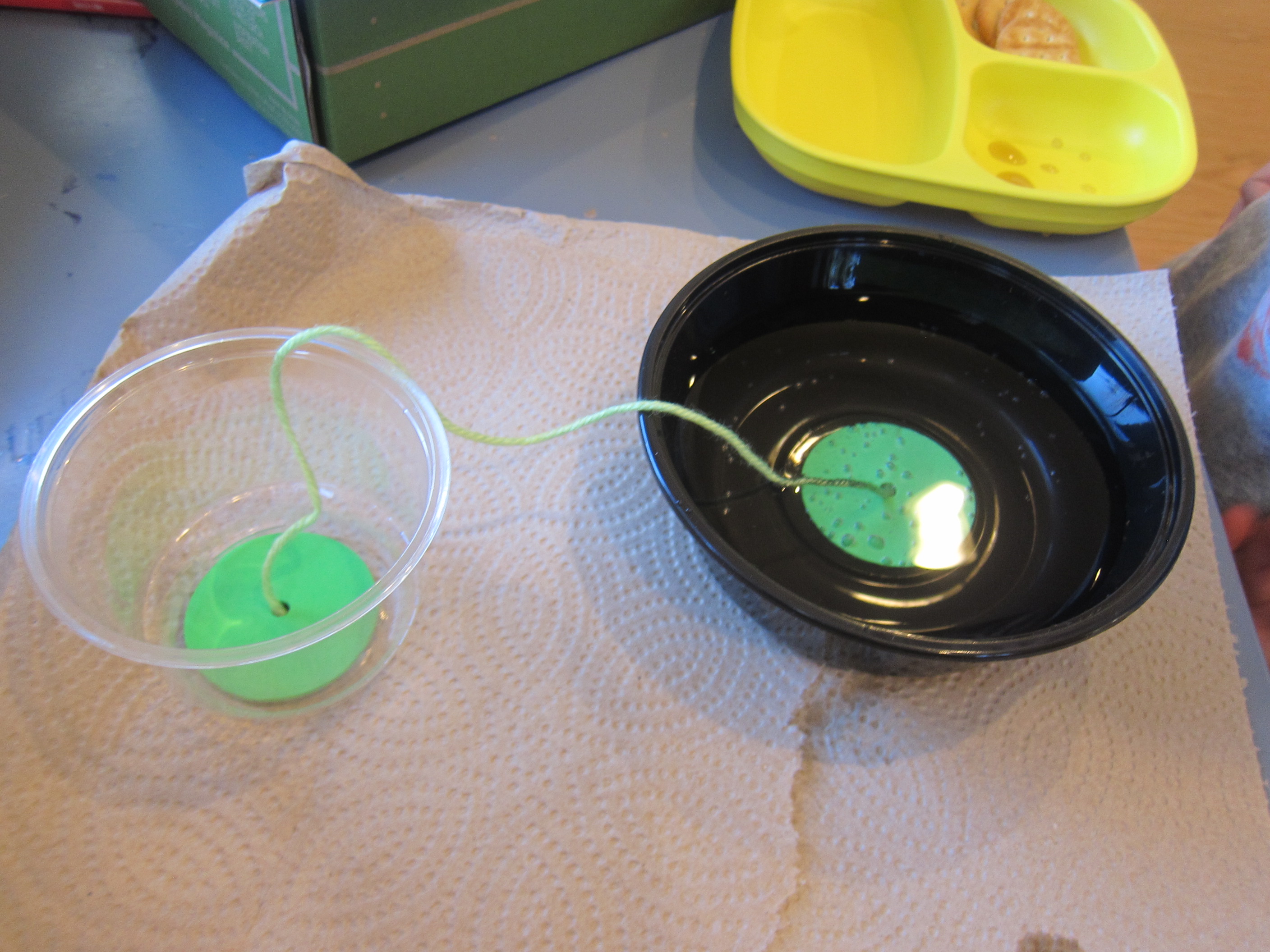 Kiwi Surface Tension (14)