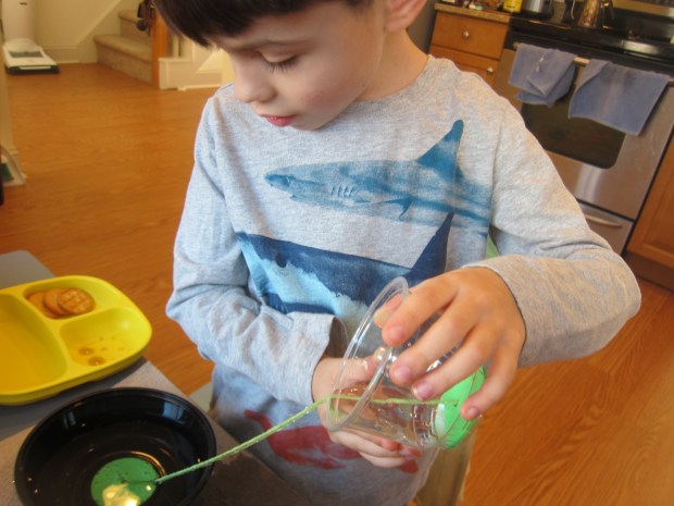 Kiwi Surface Tension (16)