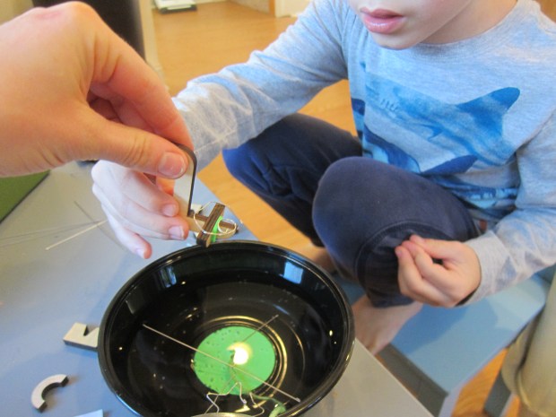 Kiwi Surface Tension (20)