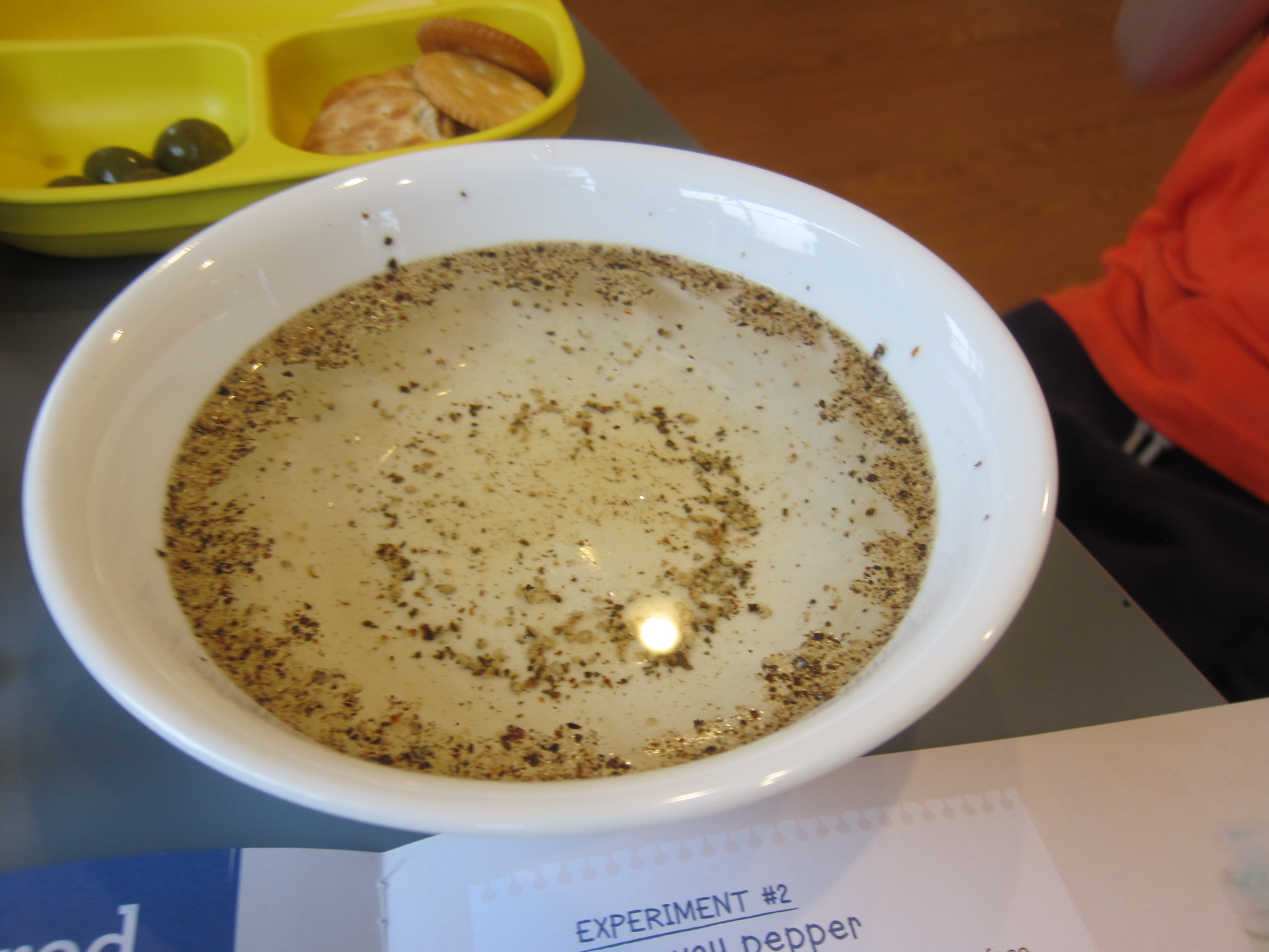 Kiwi Surface Tension (27)