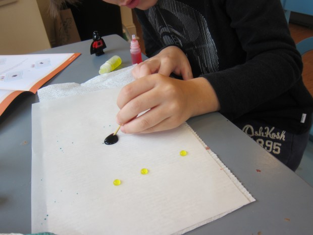 Kiwi Surface Tension (5)