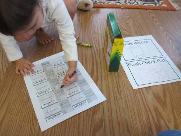 Library Dramatic Play (1)