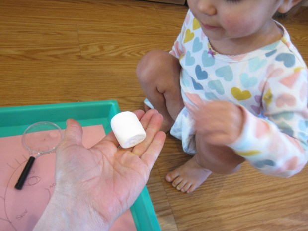 Marshmallow Senses (2)