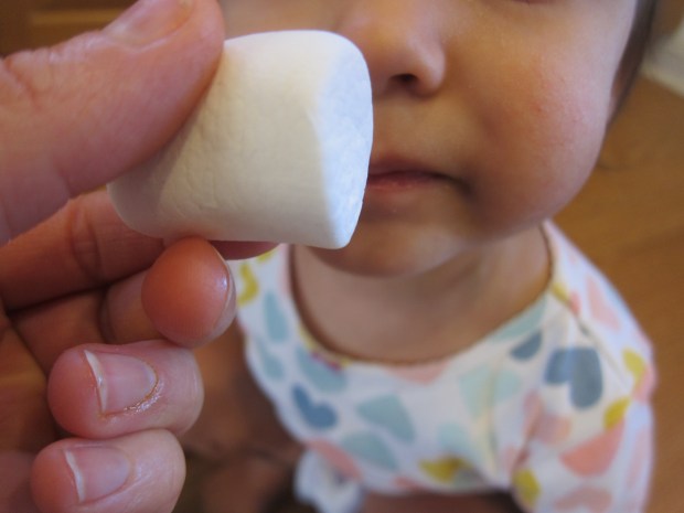 Marshmallow Senses (4)