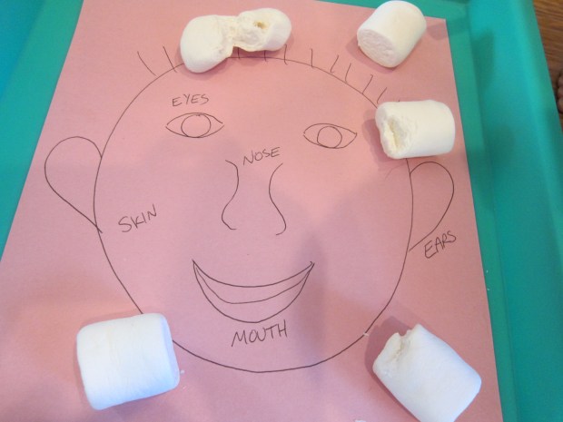 Marshmallow Senses (8)