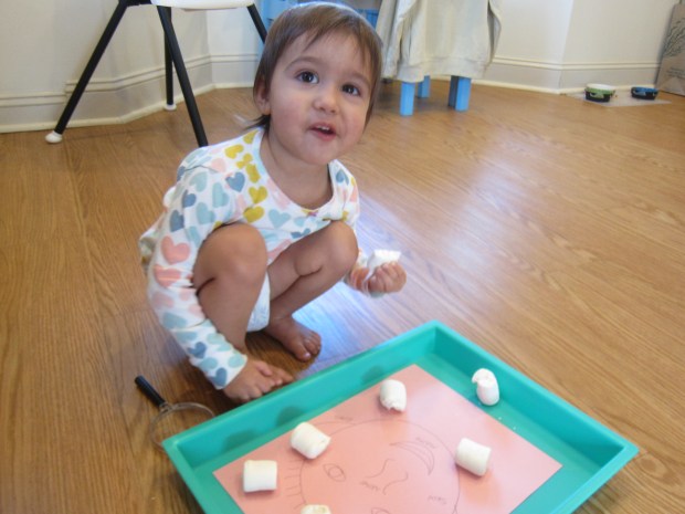 Marshmallow Senses (9)