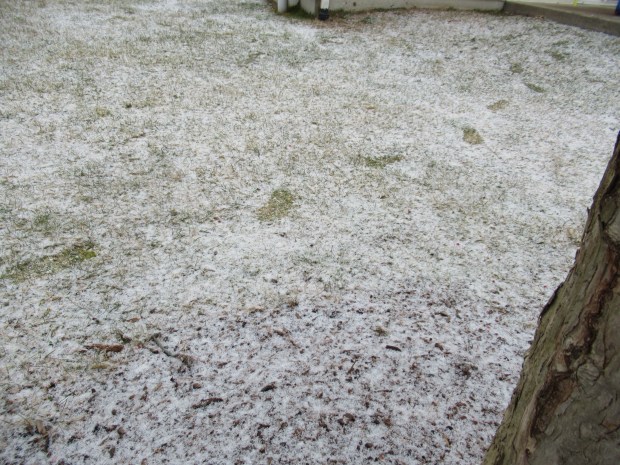 Match the Tracks (1)