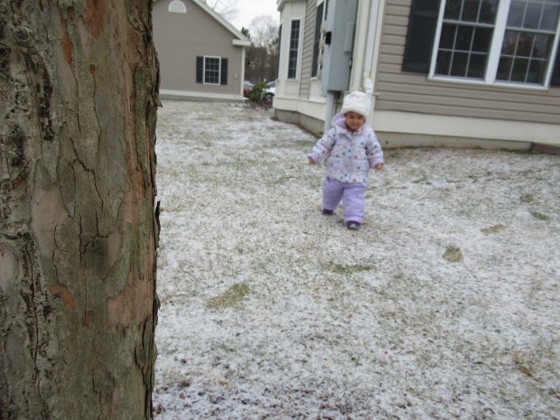 Match the Tracks (3)