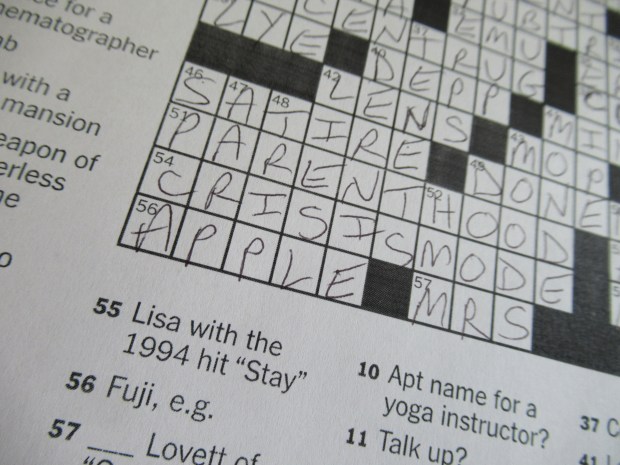 National Puzzle Day (3)