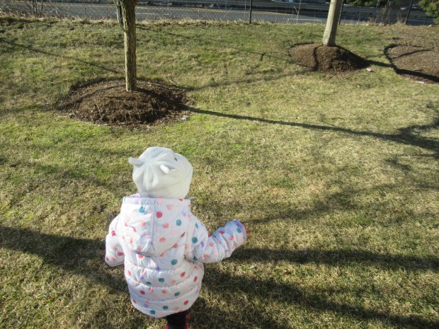 Nature Scavanger (1)