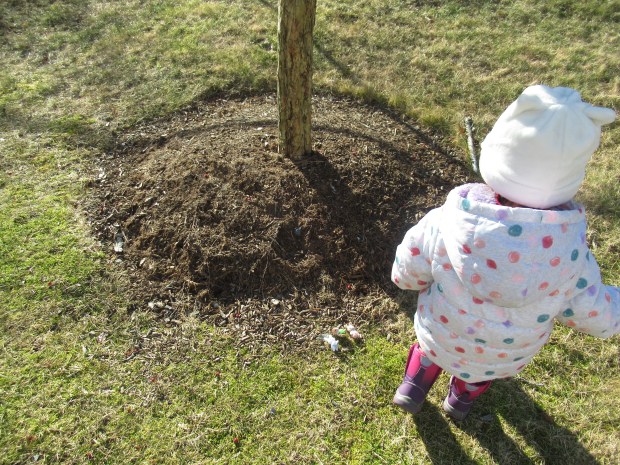 Nature Scavanger (2)