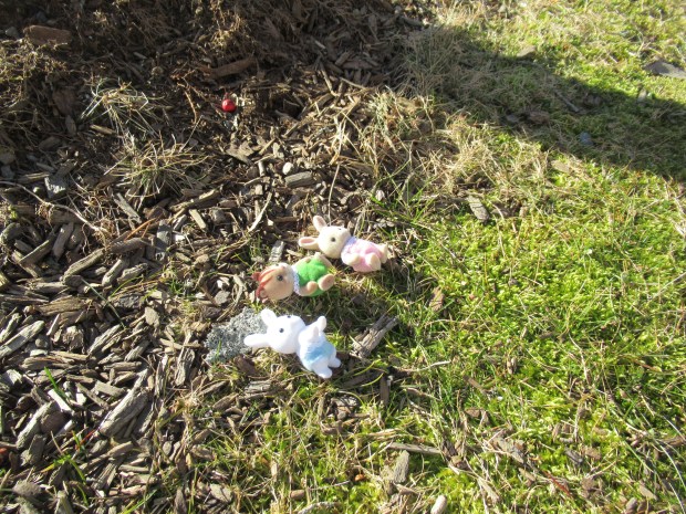 Nature Scavanger (3)