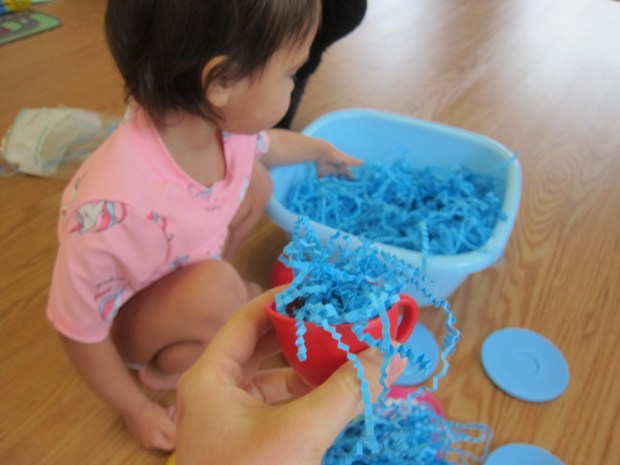 Pretend Tea Party (2)