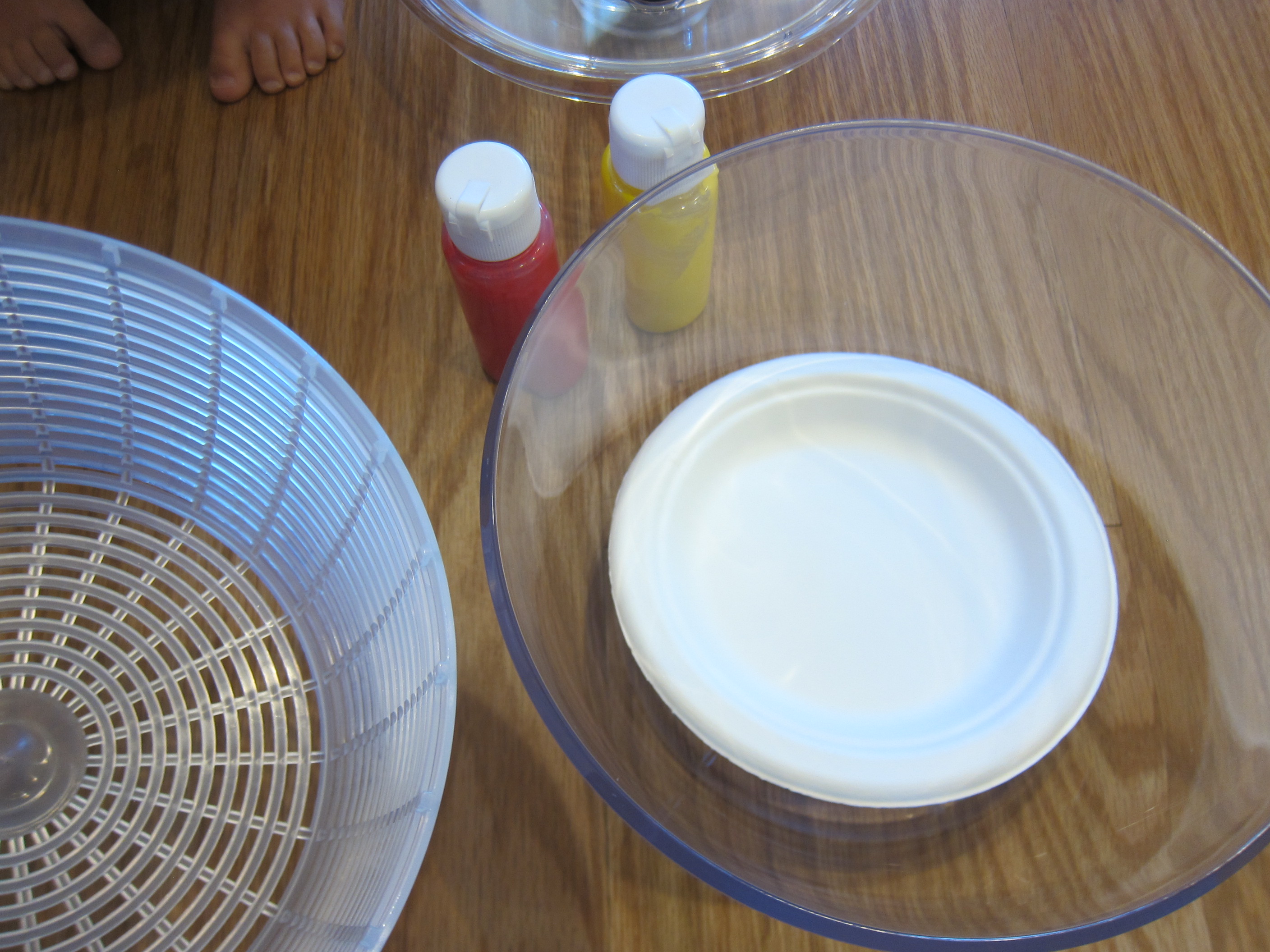 Salad Spinner Art (1)