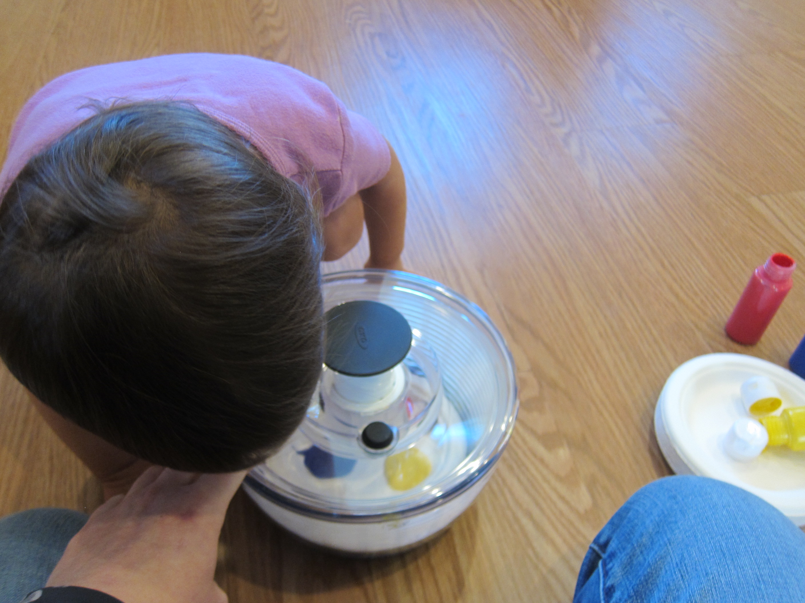 Salad Spinner Art (2)