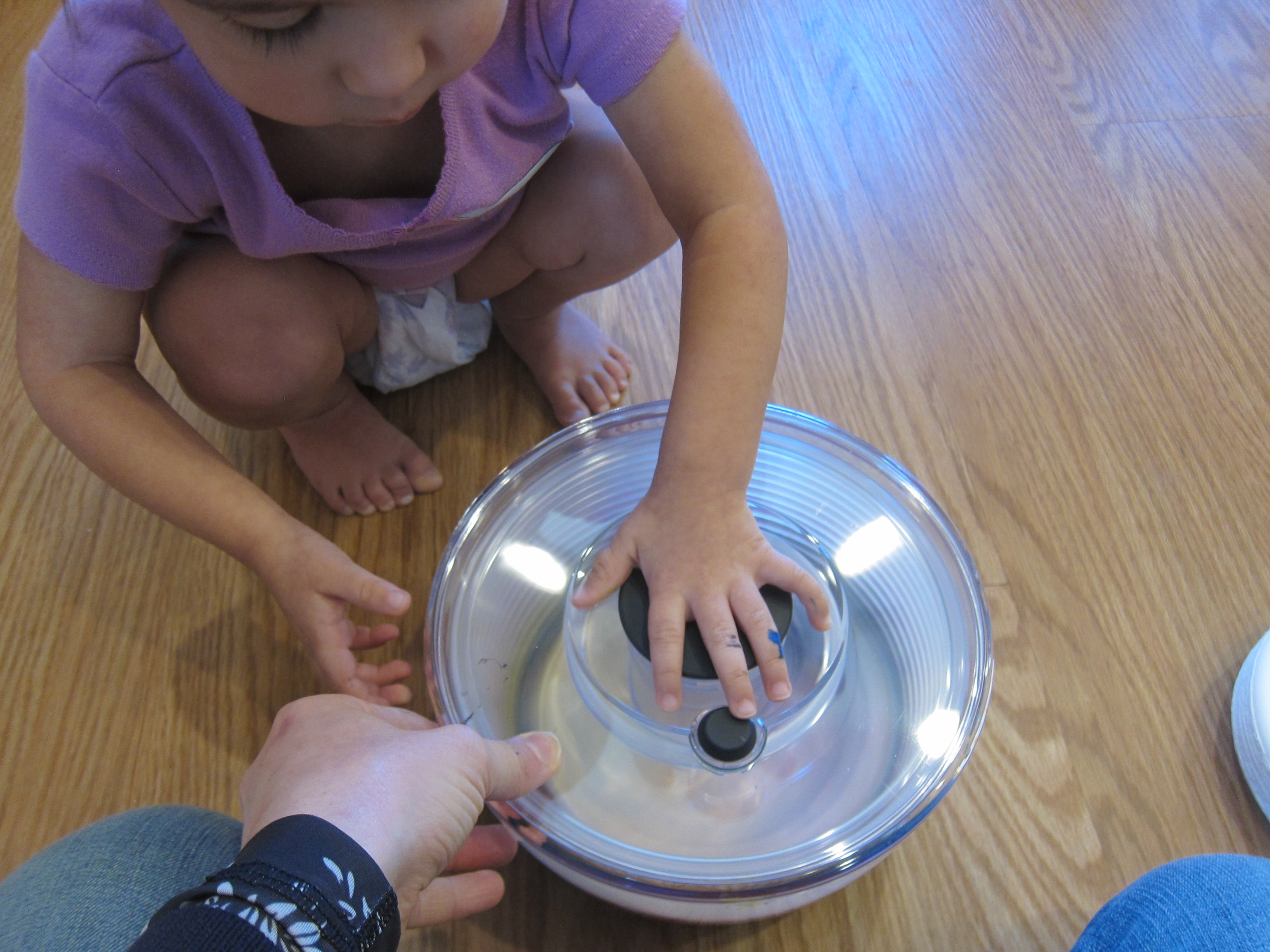 Salad Spinner Art (3)