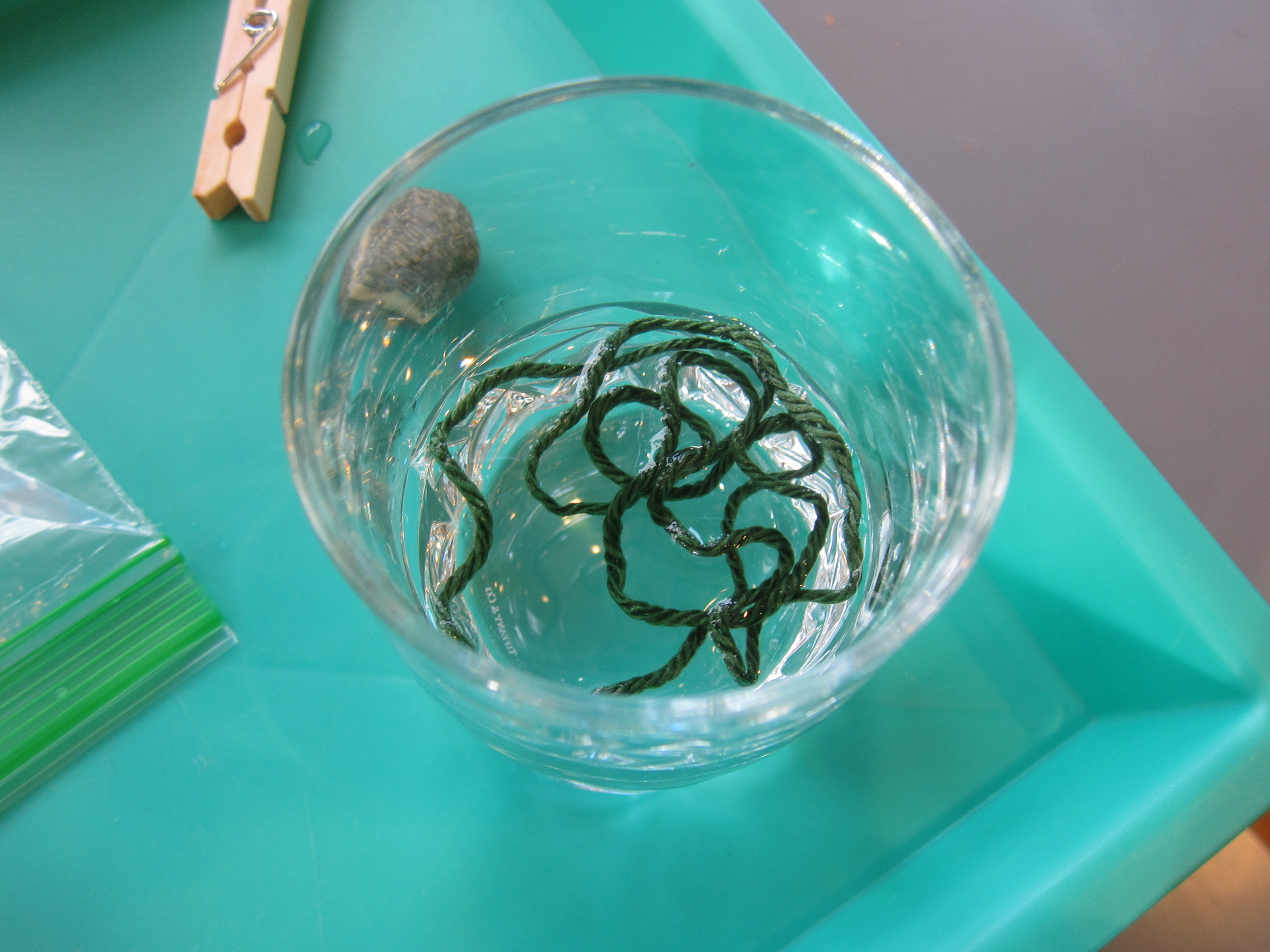 Water Bag Experiment (1)