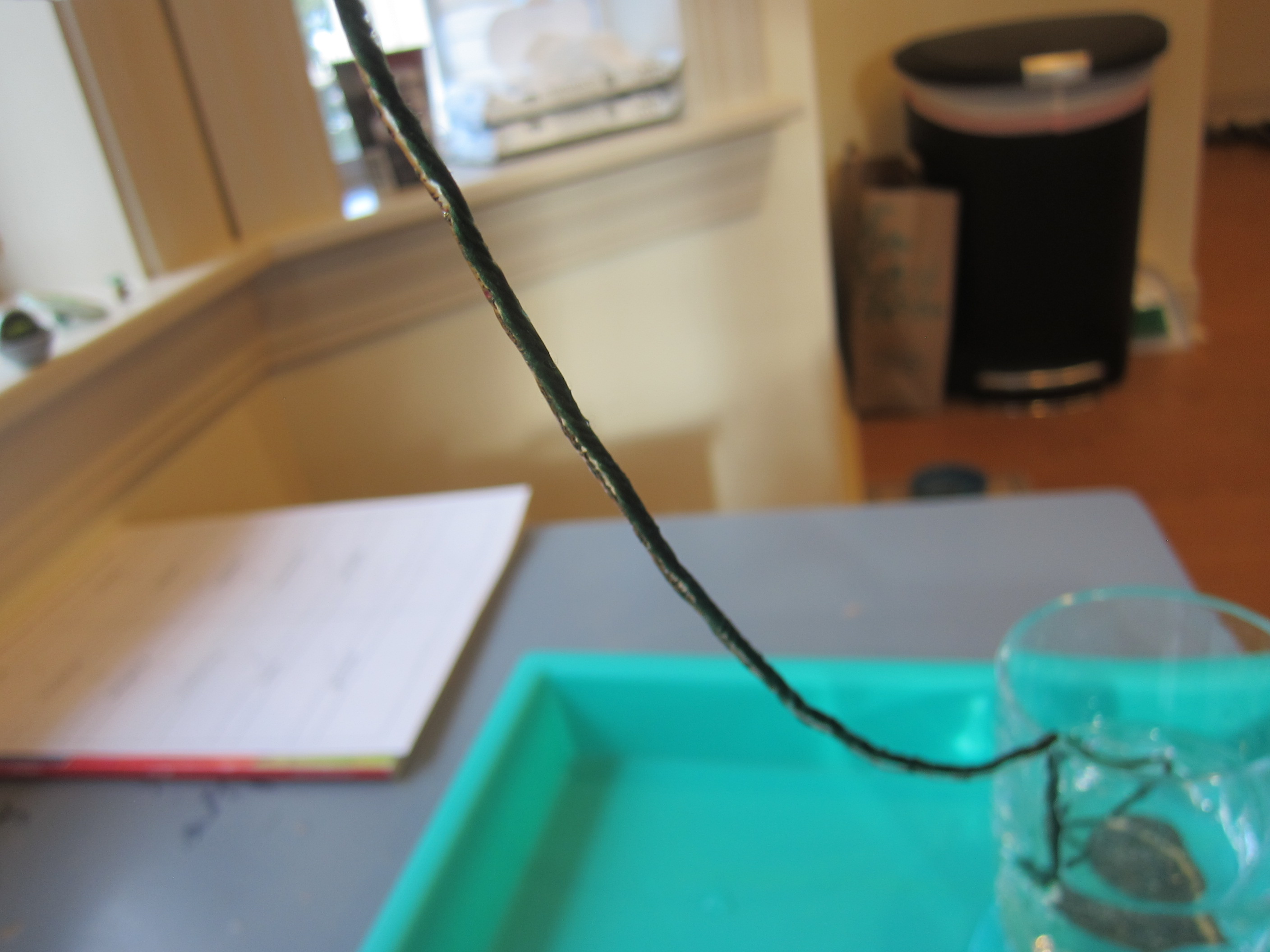 Water Bag Experiment (6)