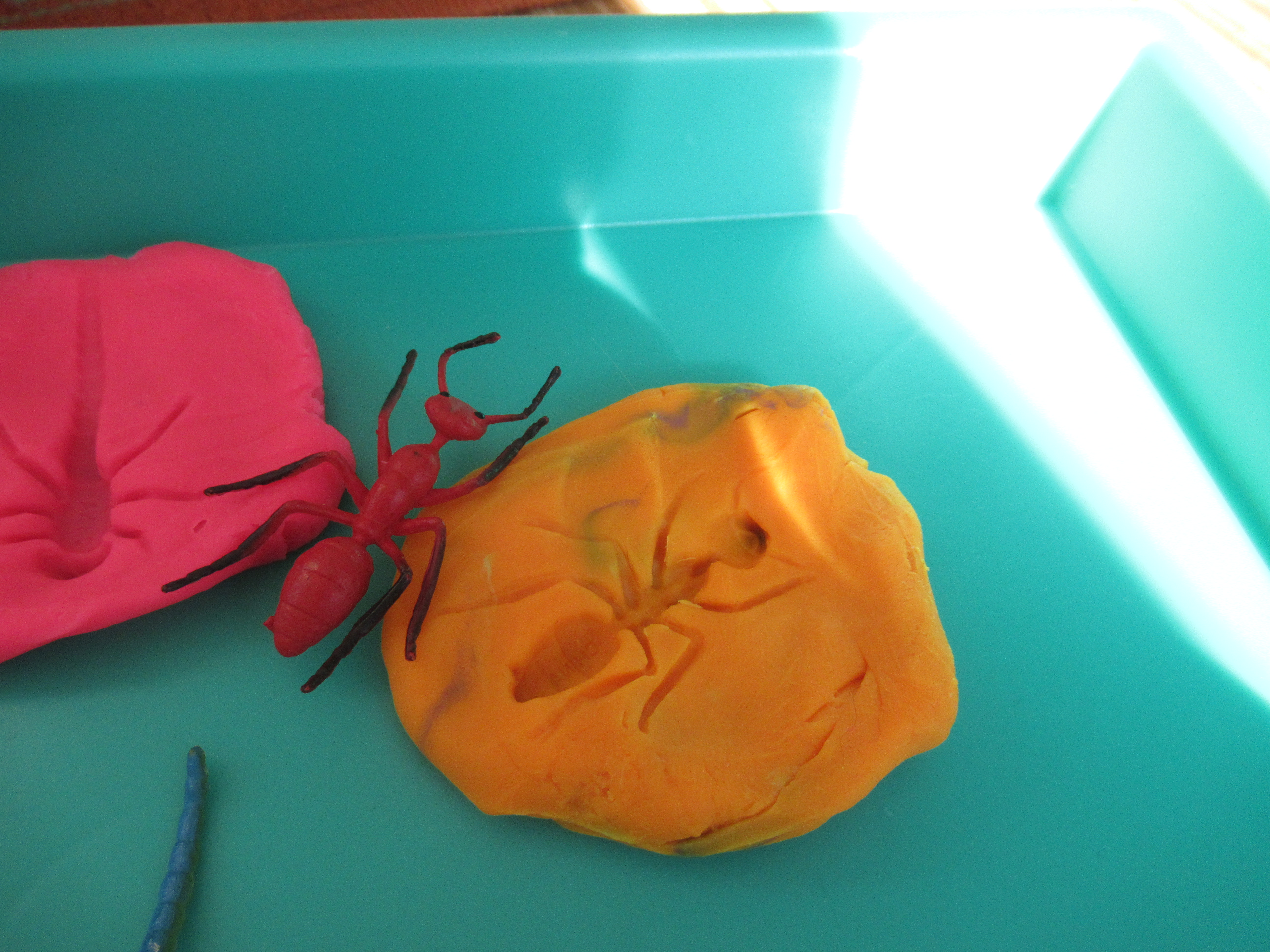 Bug Fossil Play Dough (3)