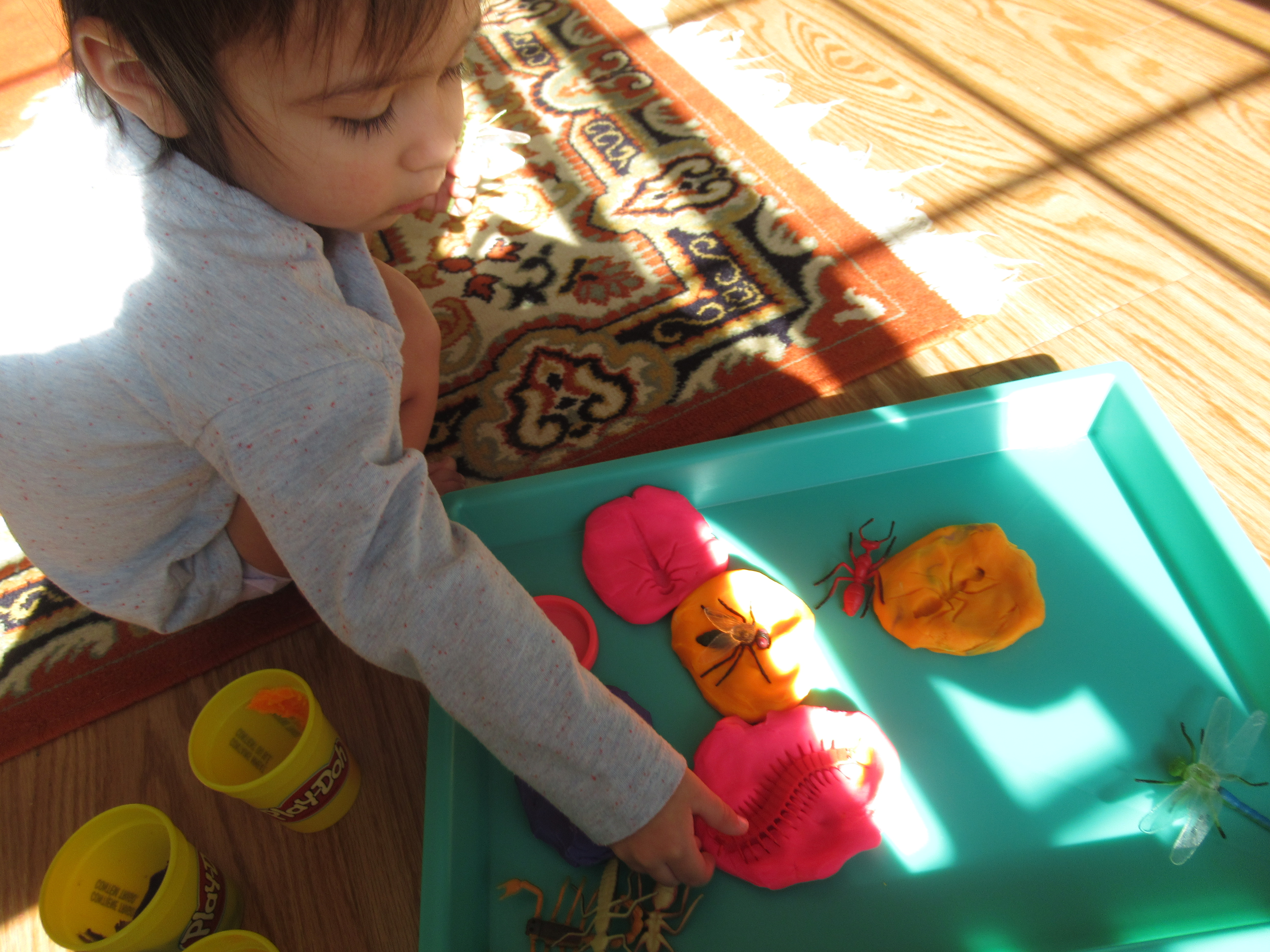 Bug Fossil Play Dough (4)