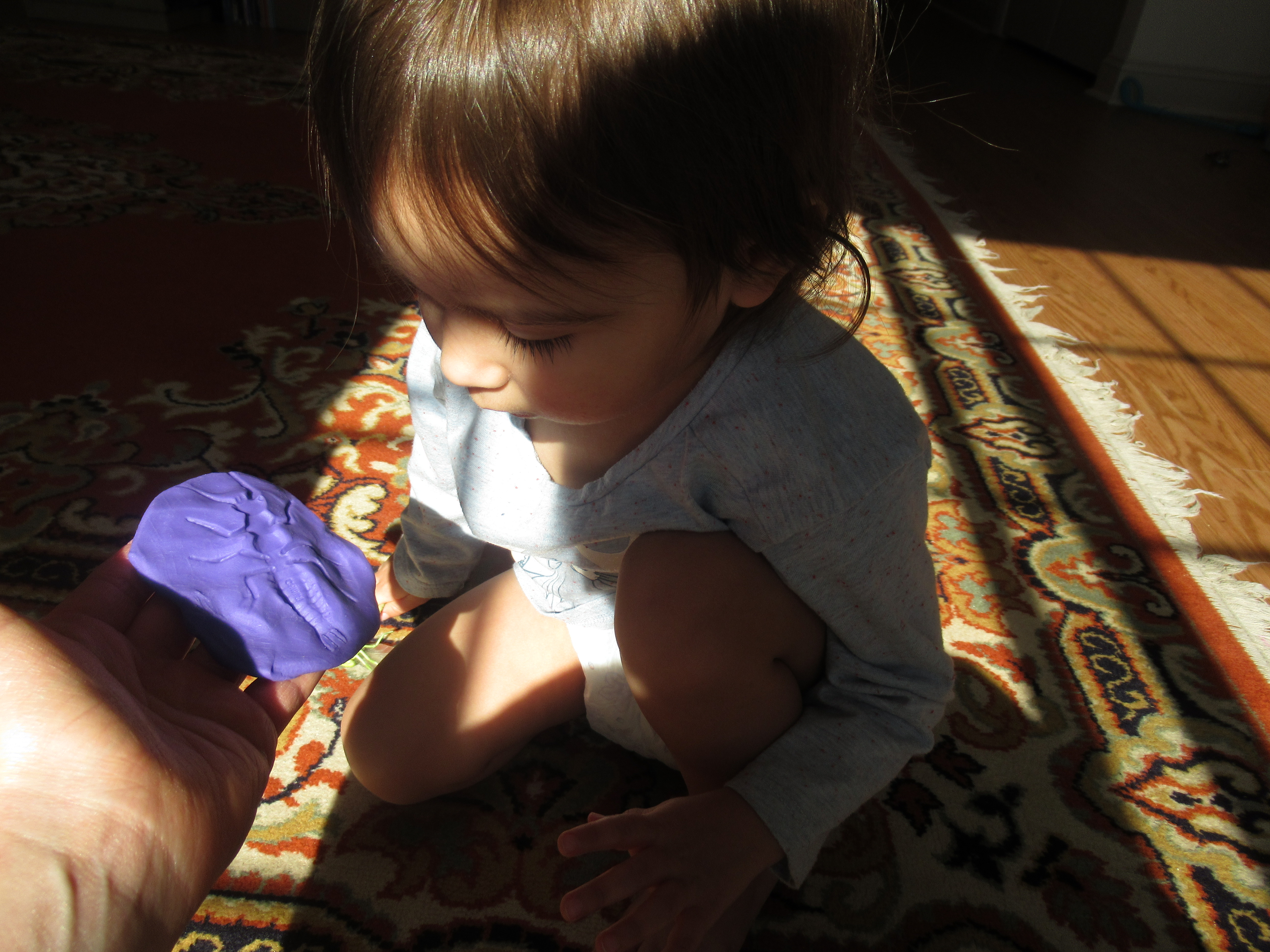 Bug Fossil Play Dough (5)