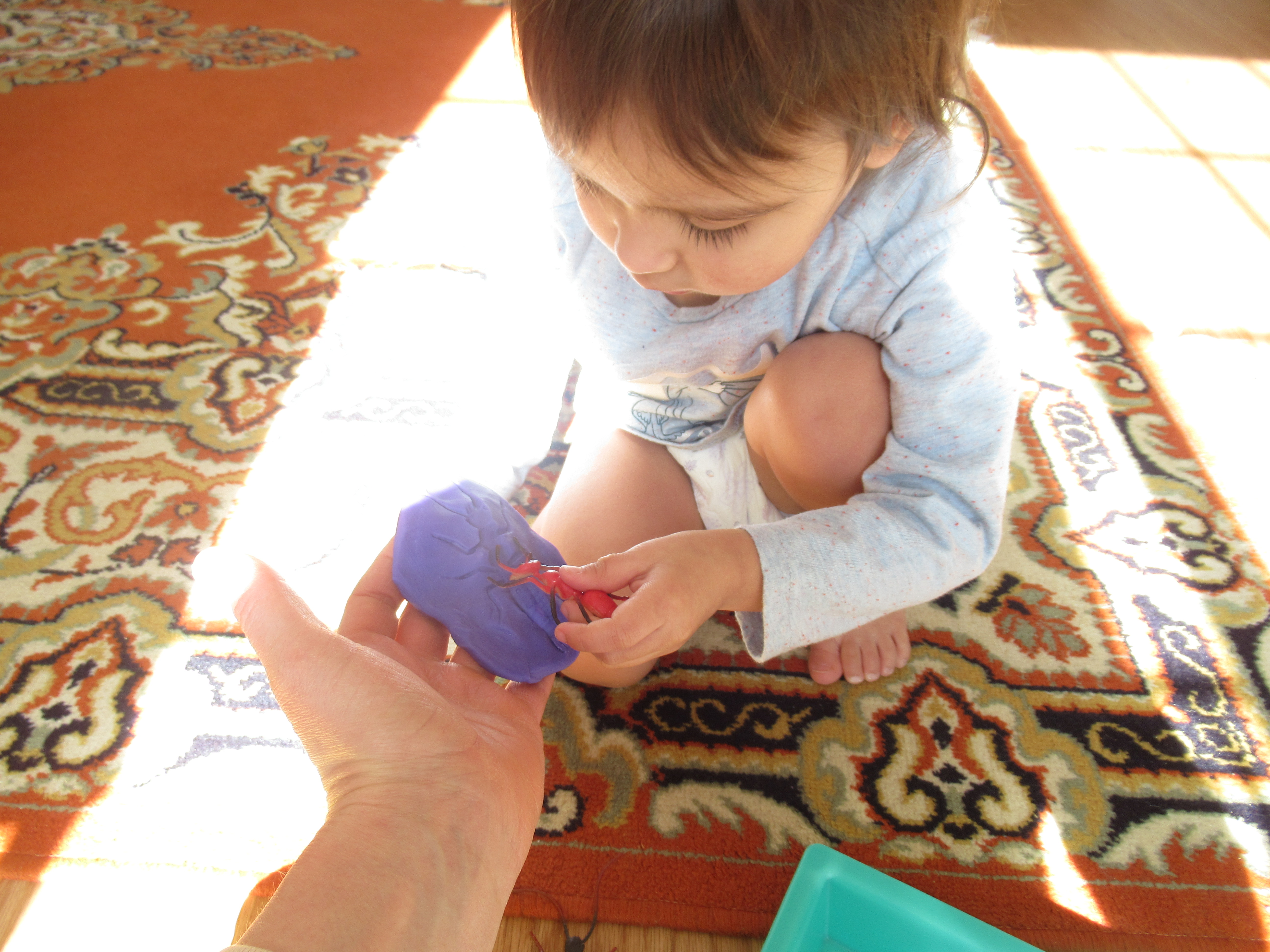 Bug Fossil Play Dough (6)