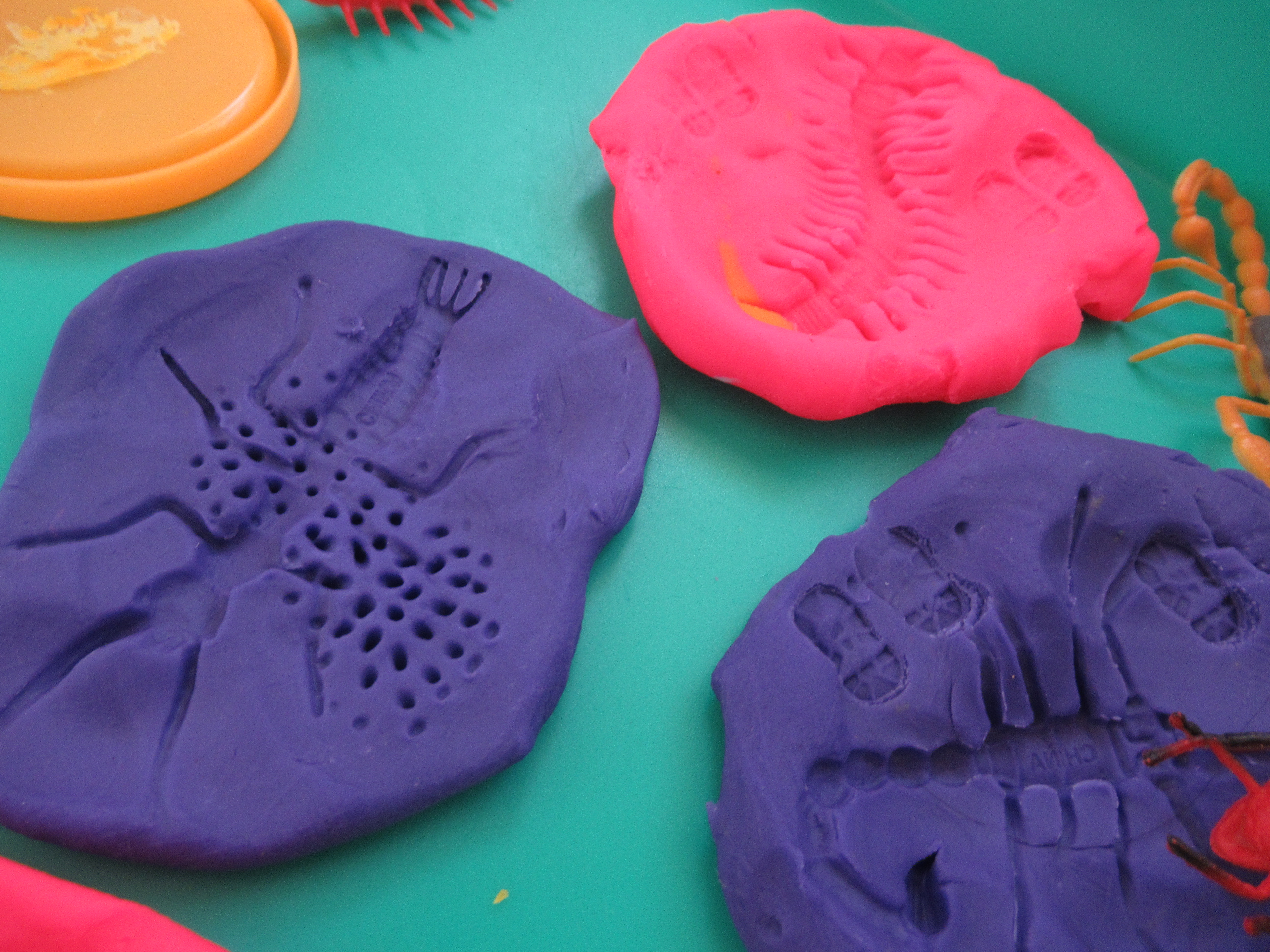 Bug Fossil Play Dough (9)