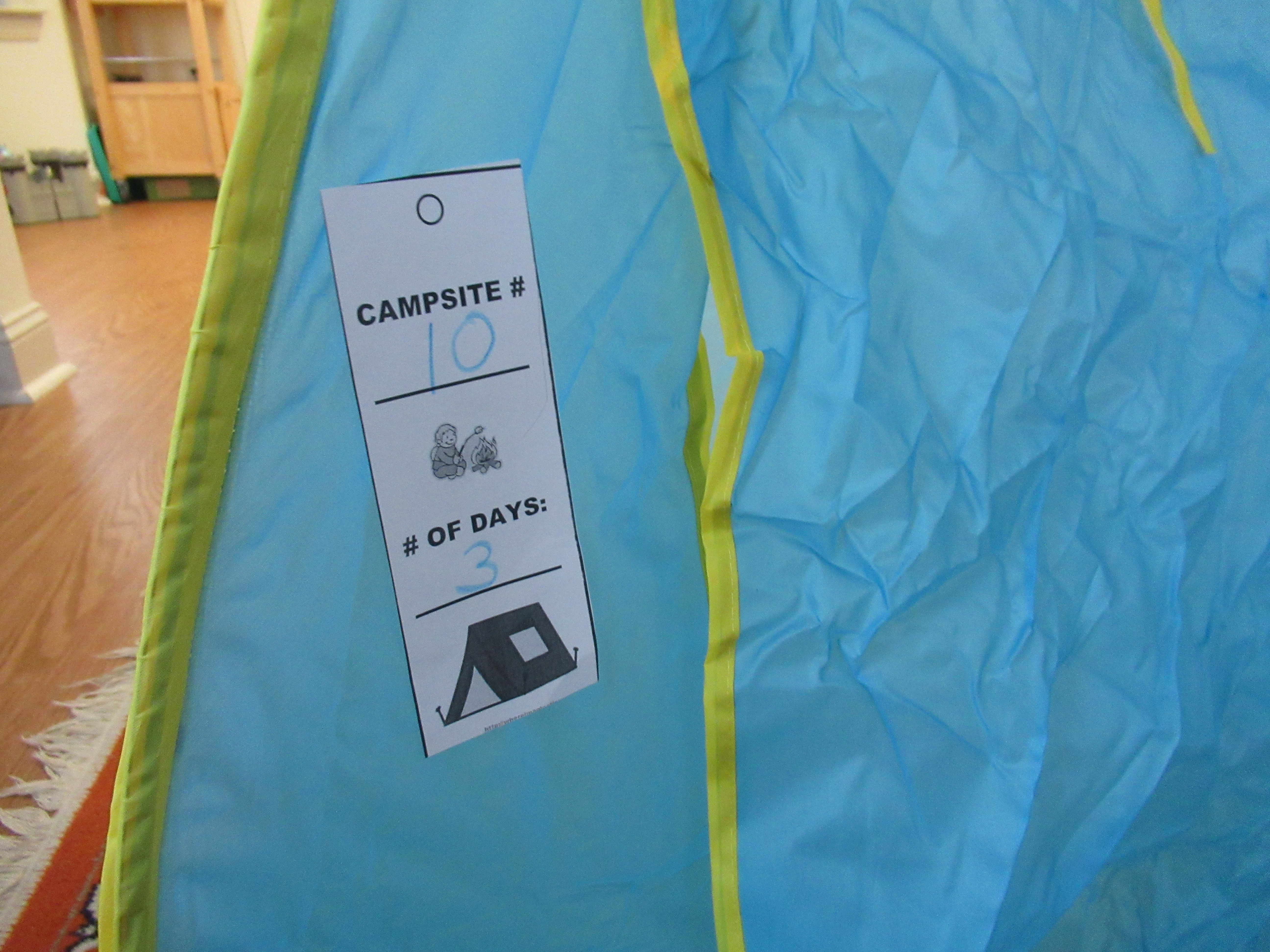 Camping Pretend Play (6)