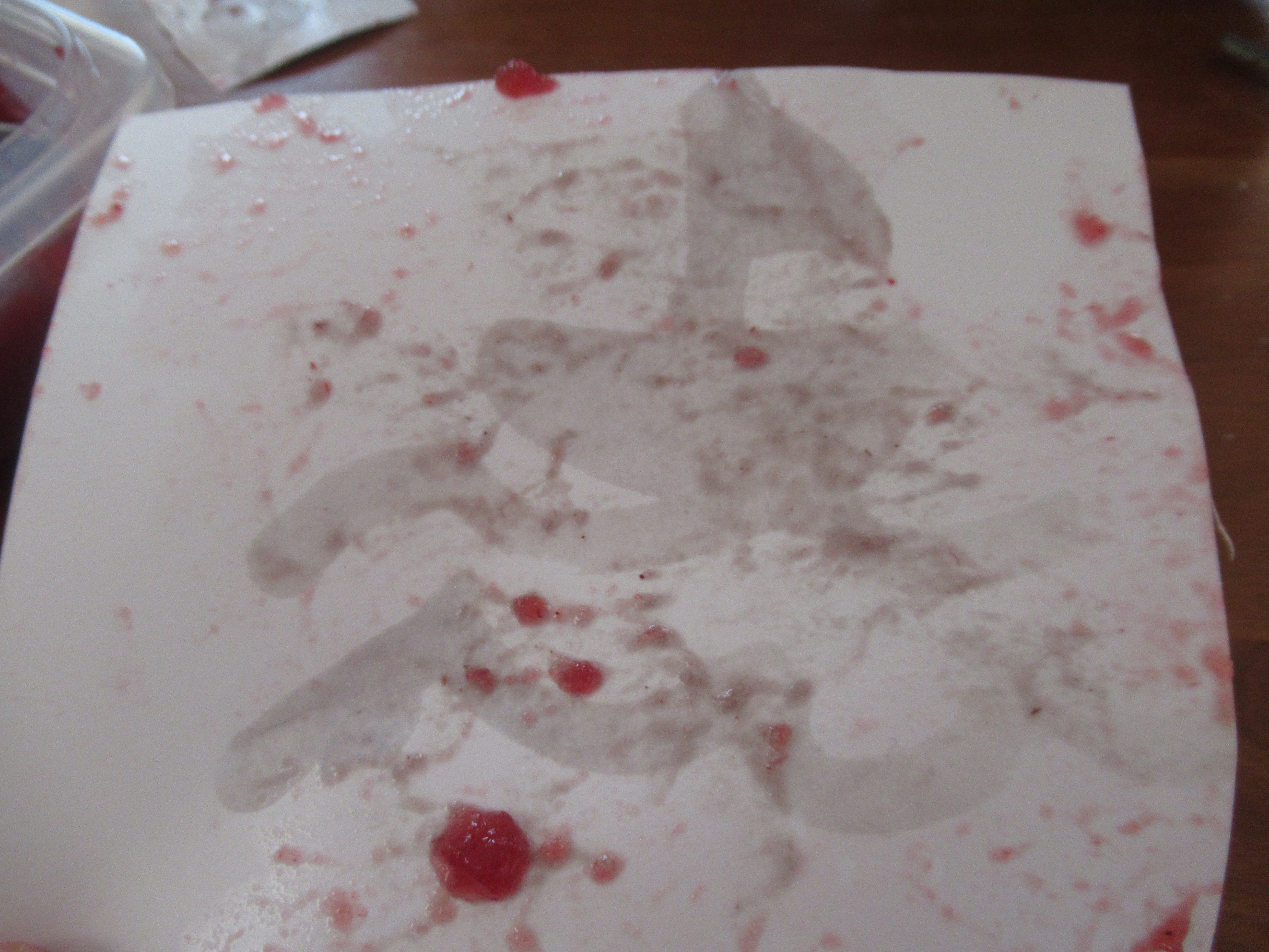 Cranberry Messages (6)