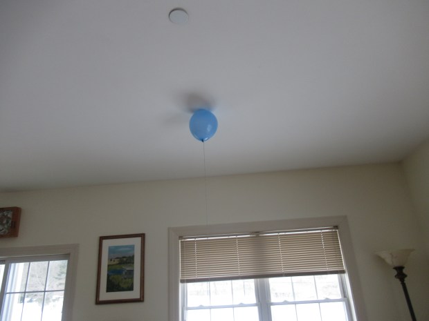 Helium Balloon Fun (1)