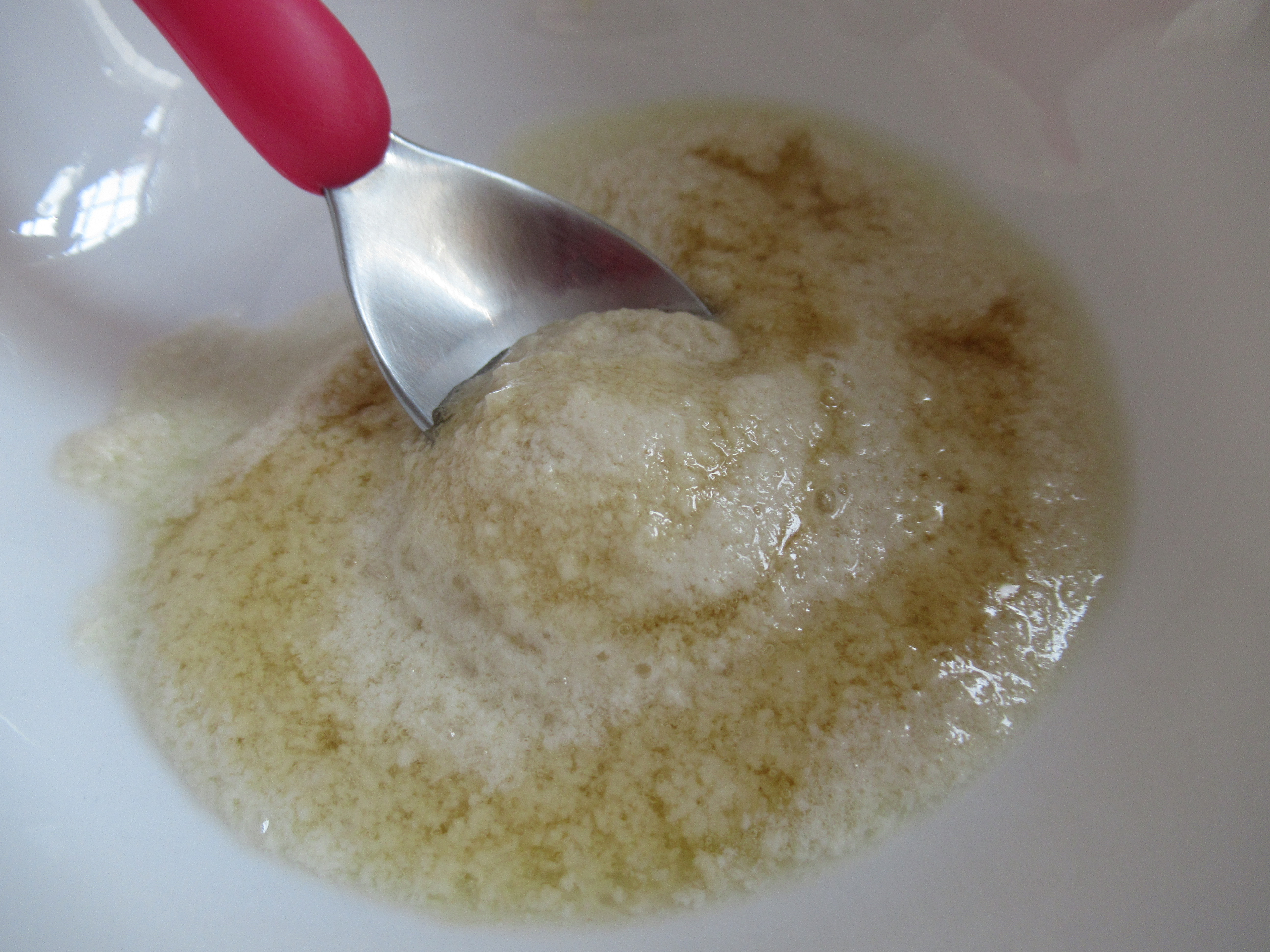 Milk into Cheese (3)