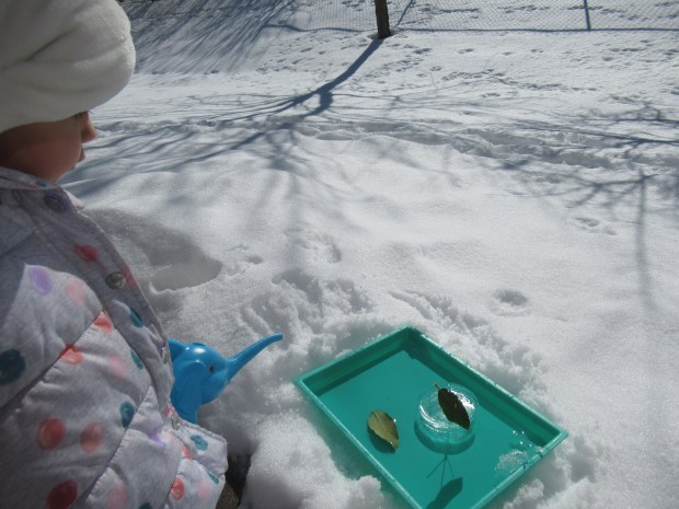 Natural Ice Boats (4)