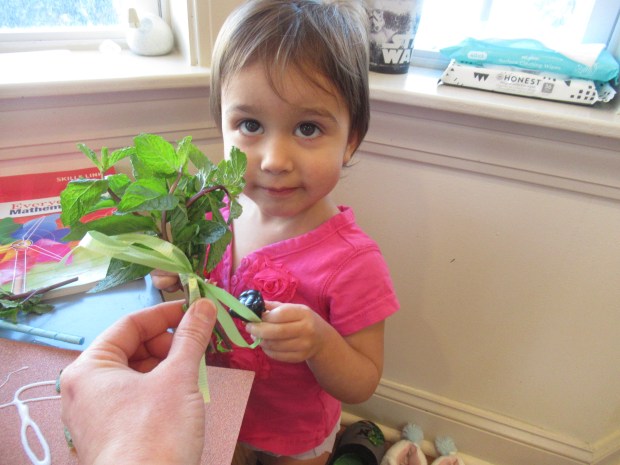 Play with Peppermint (6)