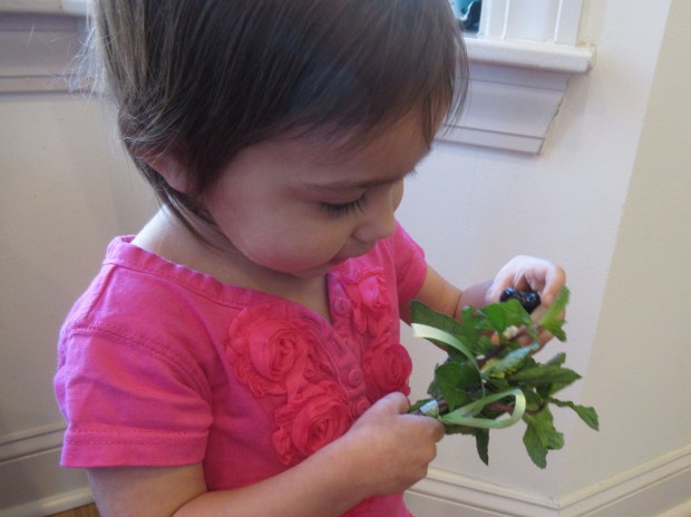 Play with Peppermint (7)