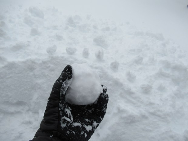 Snowman Showdown (3)