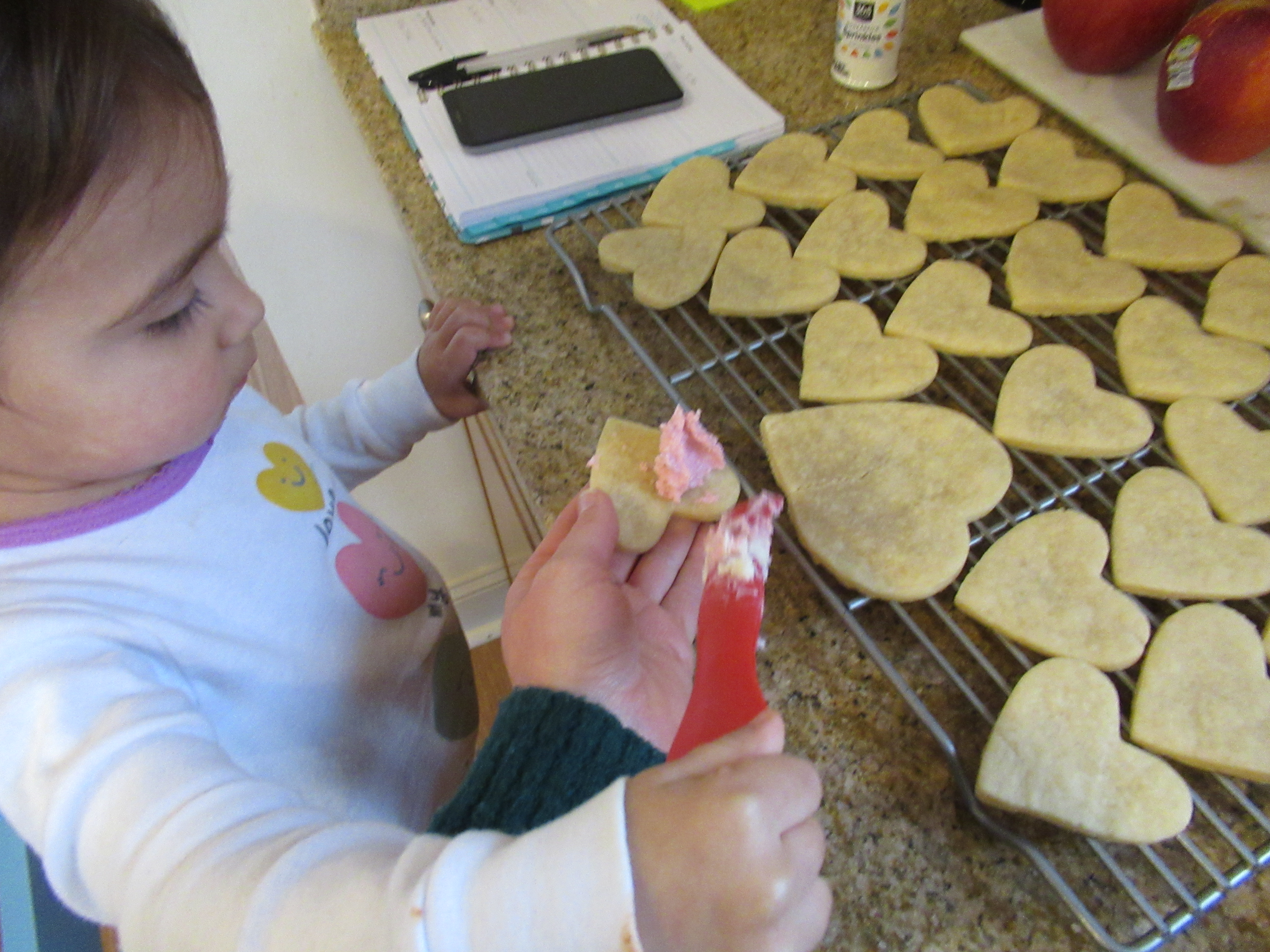 Valentine Cookies (5)